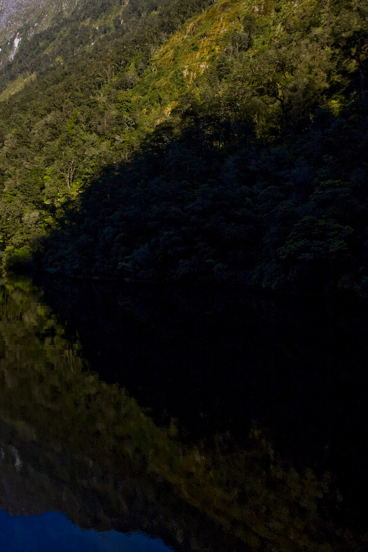 Forest Covered Cliff Face Reflected In Doubtful Sound